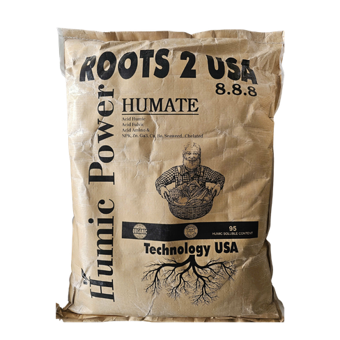 ROOTS 2 USA
