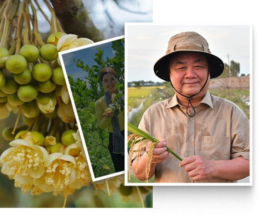Nguyễn Văn Hùng